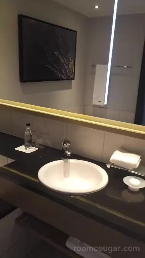 Executive King Room bathroom picture #3
