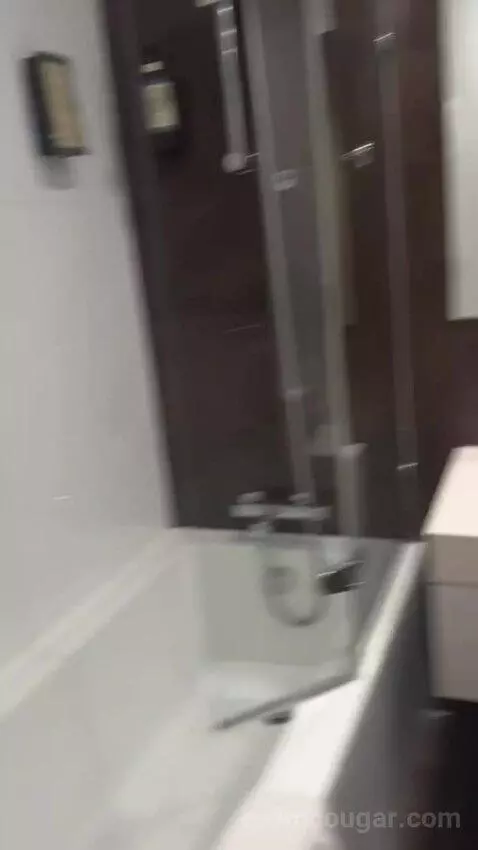 One-Bedroom Apartment with Sea View bathroom picture #10