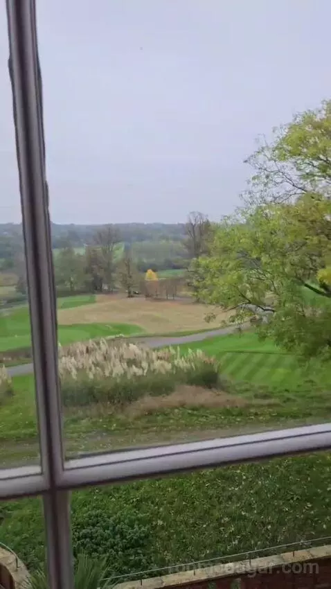 Jr Suite view picture #3