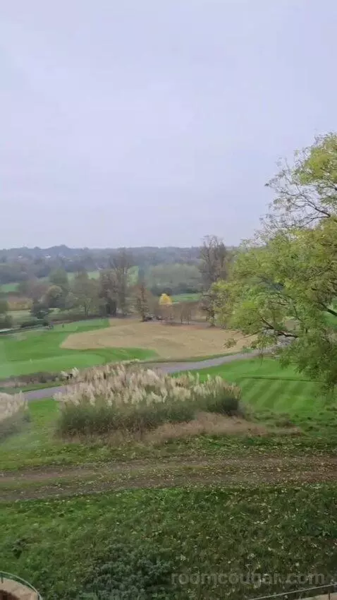 Jr Suite view picture #5
