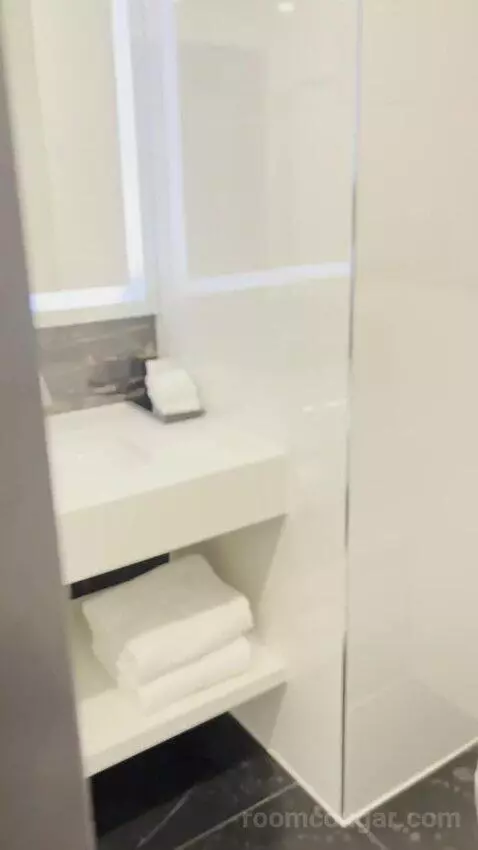 Deluxe King (#508) bathroom picture #5