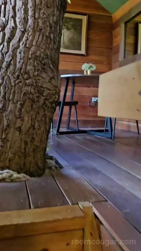 Suite (The Old Oak) bed picture #9