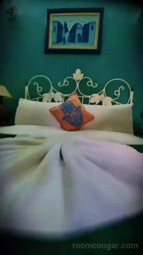 Standard Double Room bed picture #3