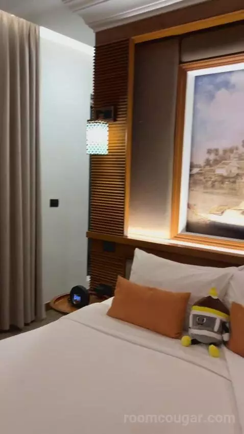Deluxe Double Room with Balcony bed picture #6