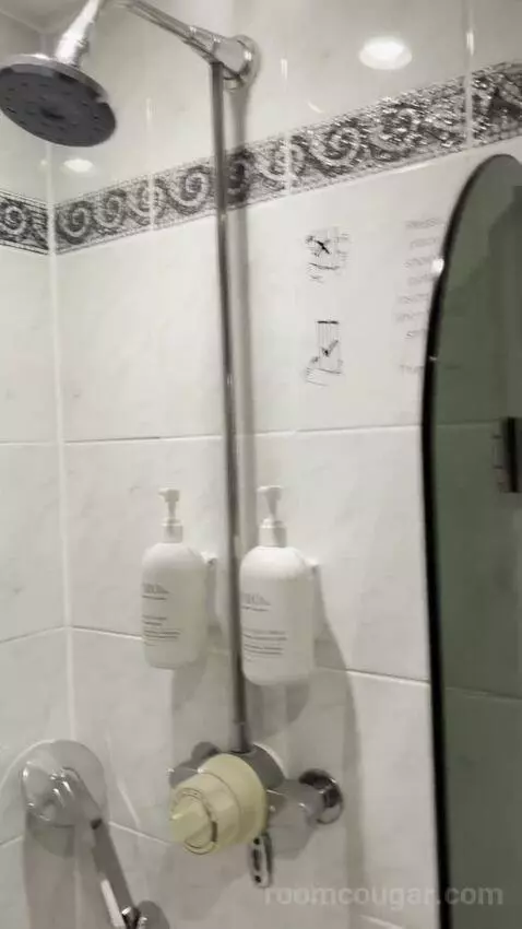 Standard Double Room bathroom picture #9