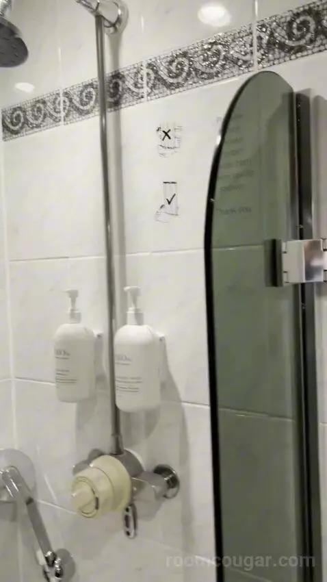 Standard Double Room bathroom picture #10