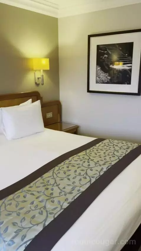 Standard Double Room picture #6