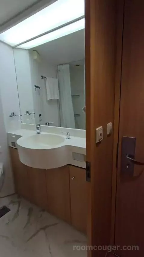 Suite bathroom picture #1