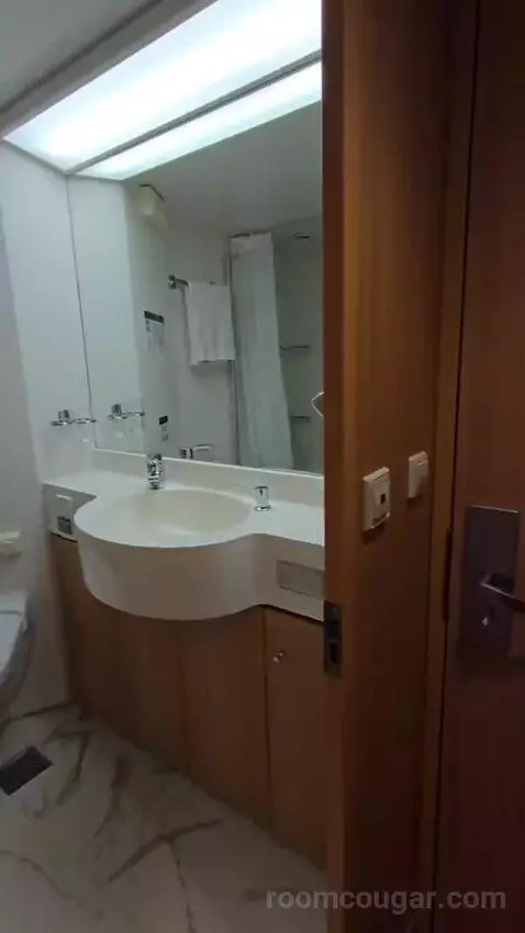 Suite bathroom picture #2