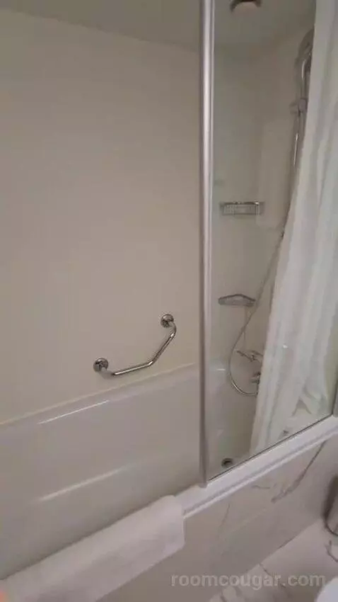 Suite bathroom picture #7