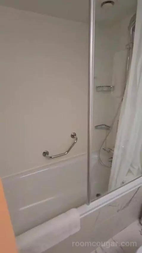 Suite bathroom picture #8