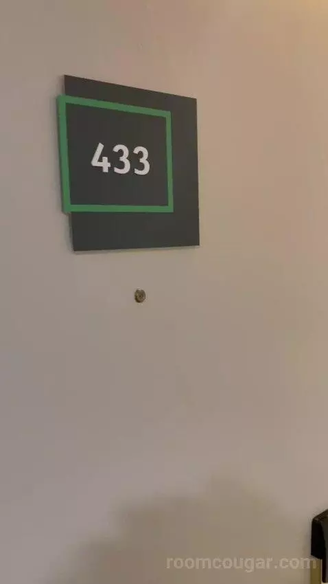 Premium Queen Room with Sofa Bed (#433) picture #1