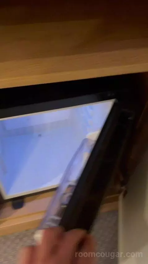 Premium Queen Room with Sofa Bed (#433) picture #11