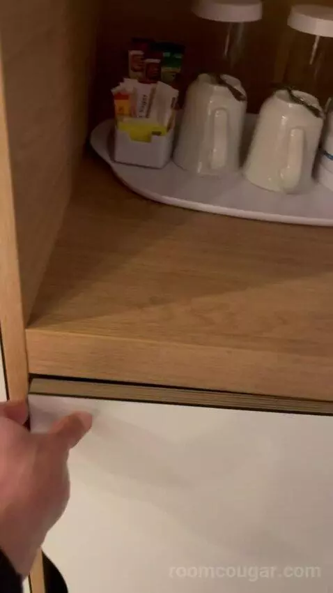 Premium Queen Room with Sofa Bed (#433) picture #12