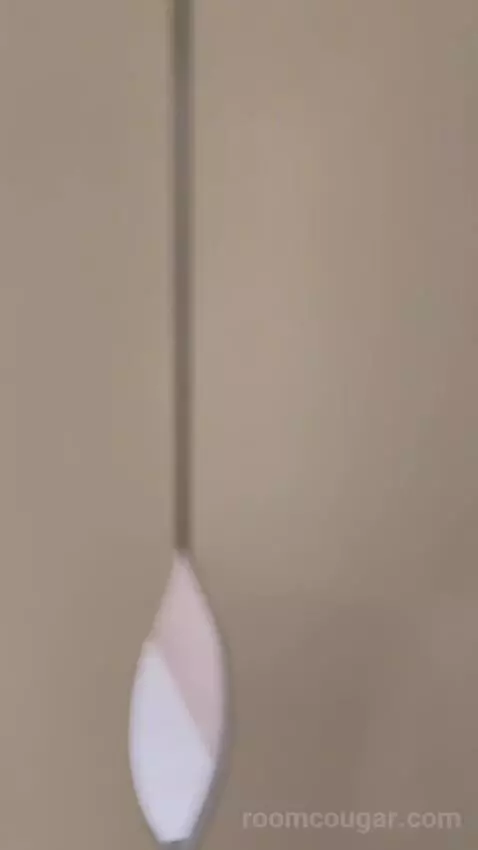 Premium Queen Room with Sofa Bed (#433) picture #17