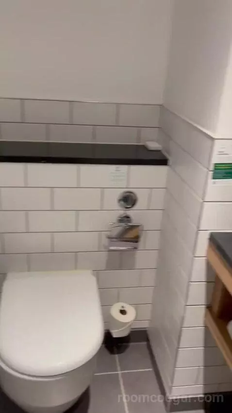 Premium Queen Room with Sofa Bed (#433) bathroom picture #1