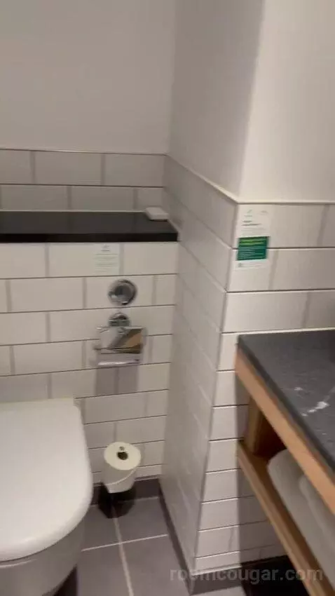 Premium Queen Room with Sofa Bed (#433) bathroom picture #2