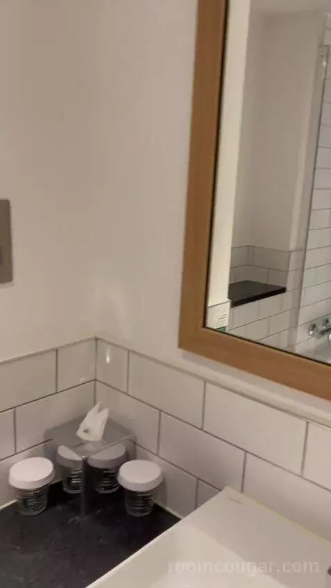 Premium Queen Room with Sofa Bed (#433) bathroom picture #3