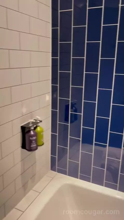 Premium Queen Room with Sofa Bed (#433) bathroom picture #5