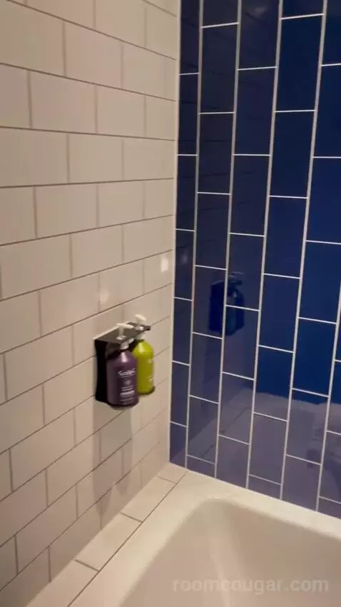 Premium Queen Room with Sofa Bed (#433) bathroom picture #6