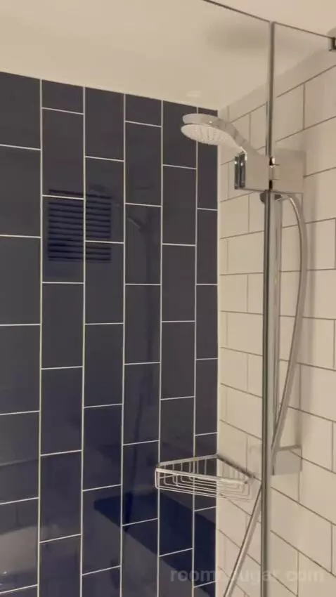 Premium Queen Room with Sofa Bed (#433) bathroom picture #7