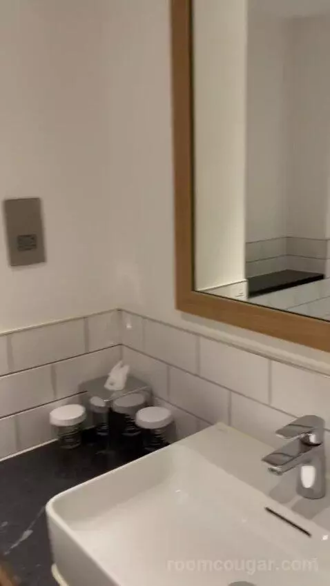 Premium Queen Room with Sofa Bed (#433) bathroom picture #9