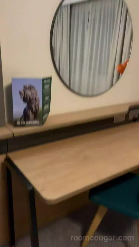 Premium Queen Room with Sofa Bed (#433) picture #8