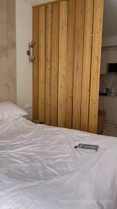 One-Bedroom Apartment bed picture #9