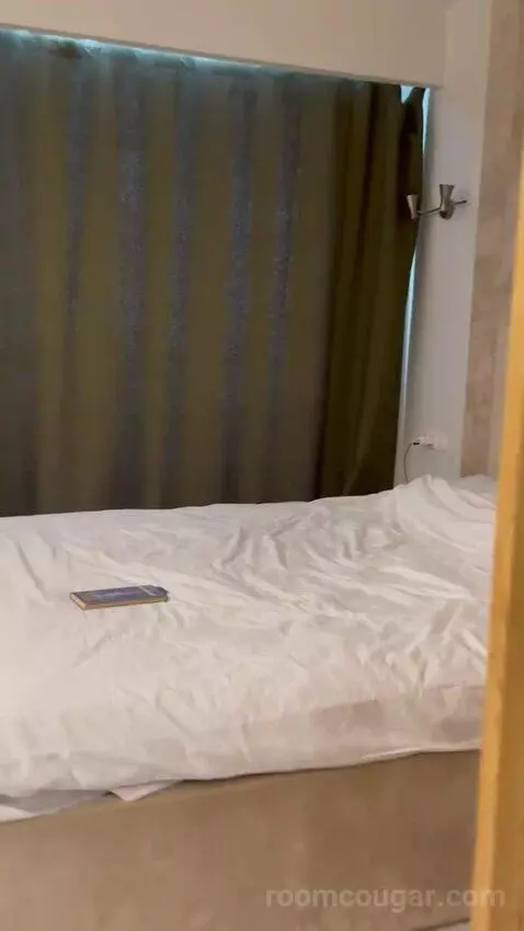 One-Bedroom Apartment bed picture #2