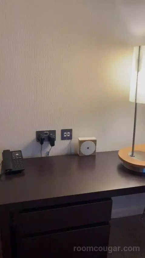 Executive Room (#718) picture #4