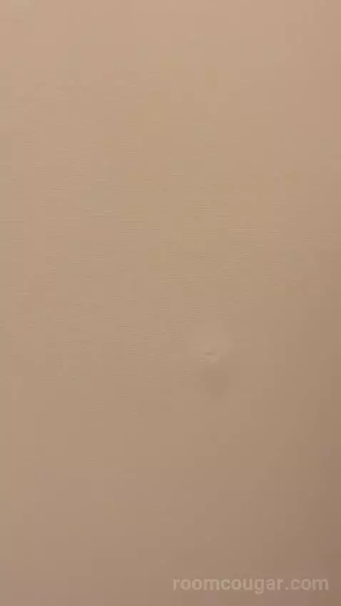 Standard Room - Mobility Accessible (#707) picture #13