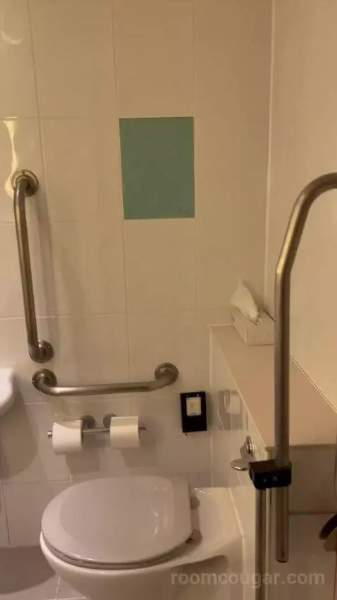 Standard Room - Mobility Accessible (#707) bathroom picture #3