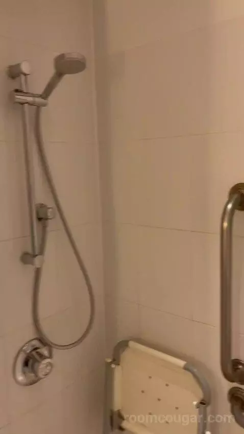 Standard Room - Mobility Accessible (#707) bathroom picture #5