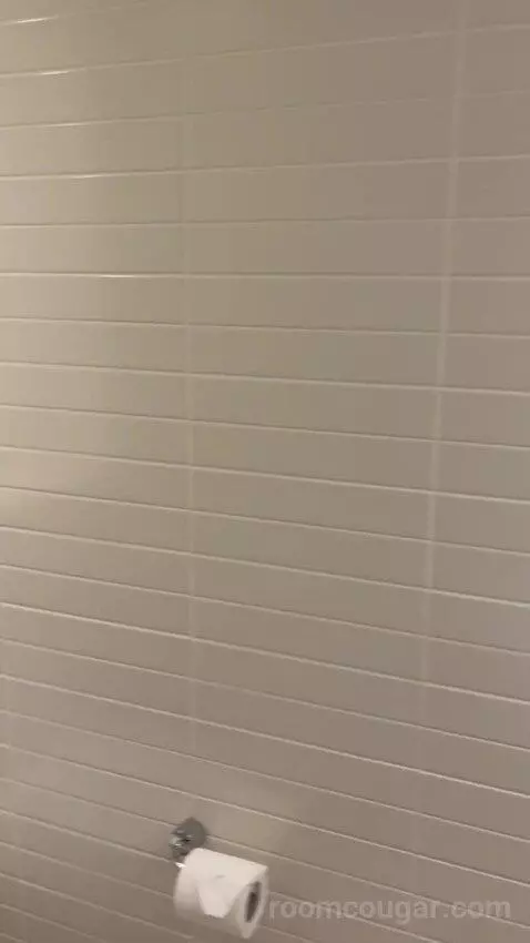 Standard Double Room (#161) bathroom picture #4