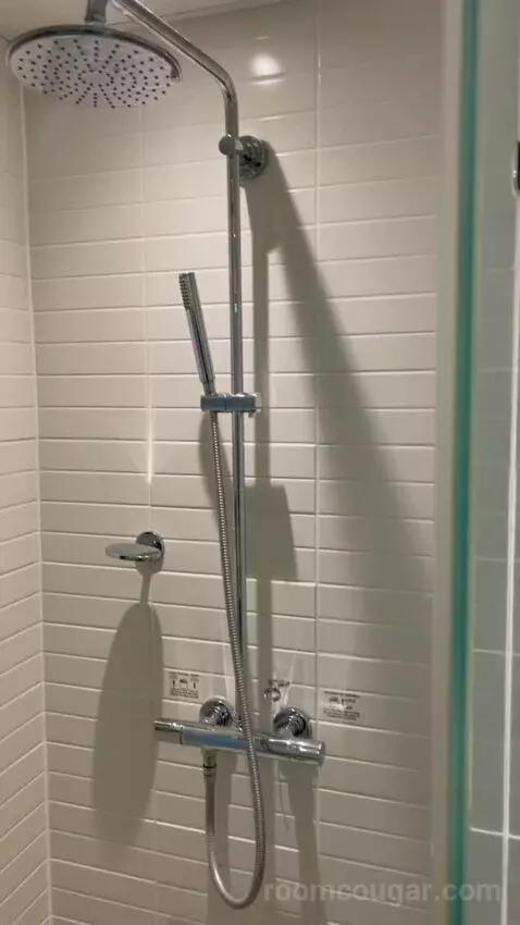 Standard Double Room (#161) bathroom picture #9