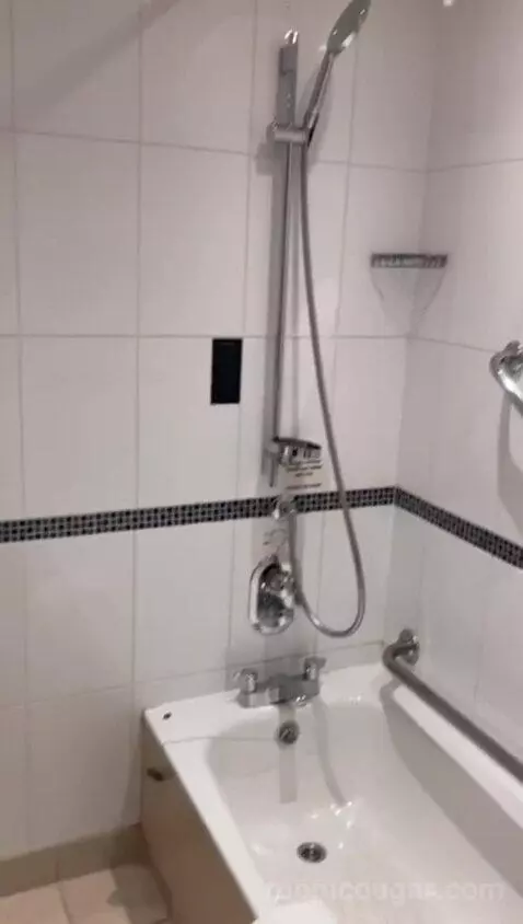 Twin Room with Mobility Accessible Roll-In Shower (#201) bathroom picture #6