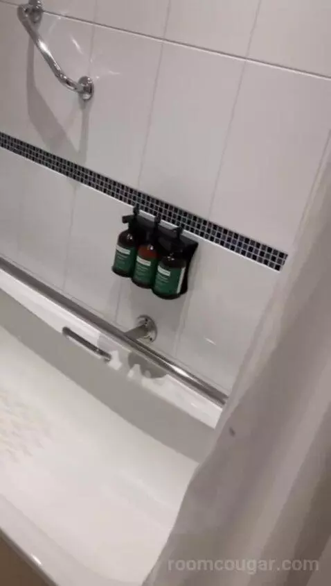 Twin Room with Mobility Accessible Roll-In Shower (#201) bathroom picture #7