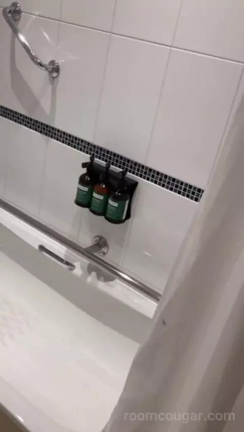 Twin Room with Mobility Accessible Roll-In Shower (#201) bathroom picture #8