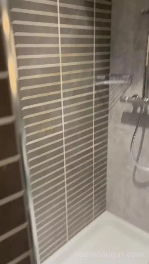 Penta Standard Room (#315) bathroom picture #3