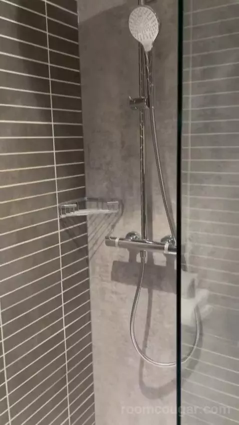 Penta Standard Room (#315) bathroom picture #4