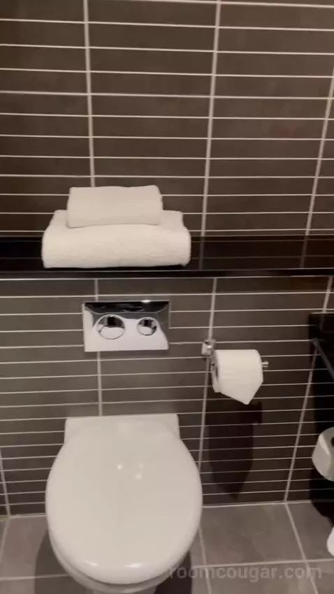 Penta Standard Room (#315) bathroom picture #5