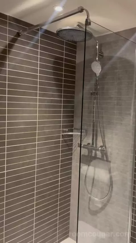 Penta Standard Room (#315) bathroom picture #8