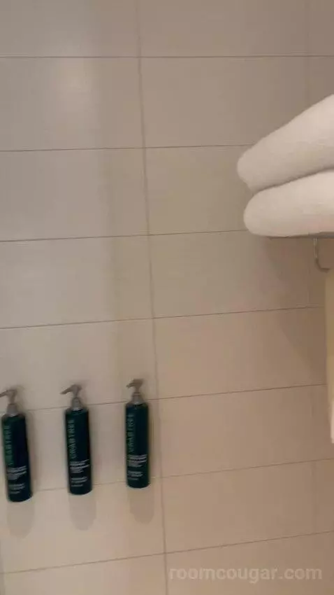 Queen Room (#327) bathroom picture #6