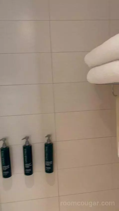 Queen Room (#327) picture #22