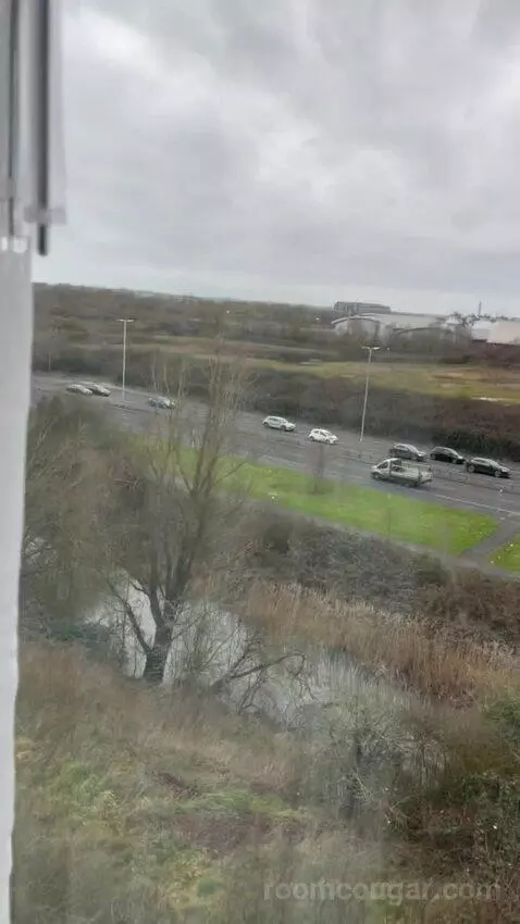 Queen Room (#327) picture #7