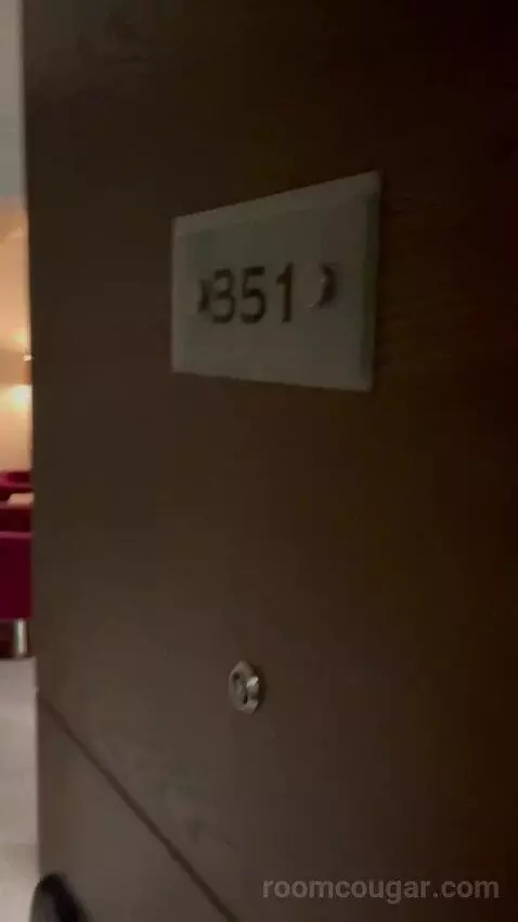Deluxe King Room (#351) picture #1