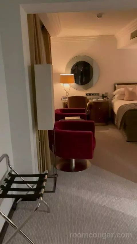 Deluxe King Room (#351) picture #2