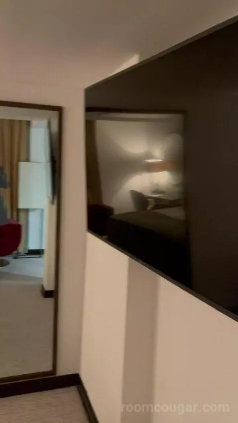 Deluxe King Room (#351) picture #16