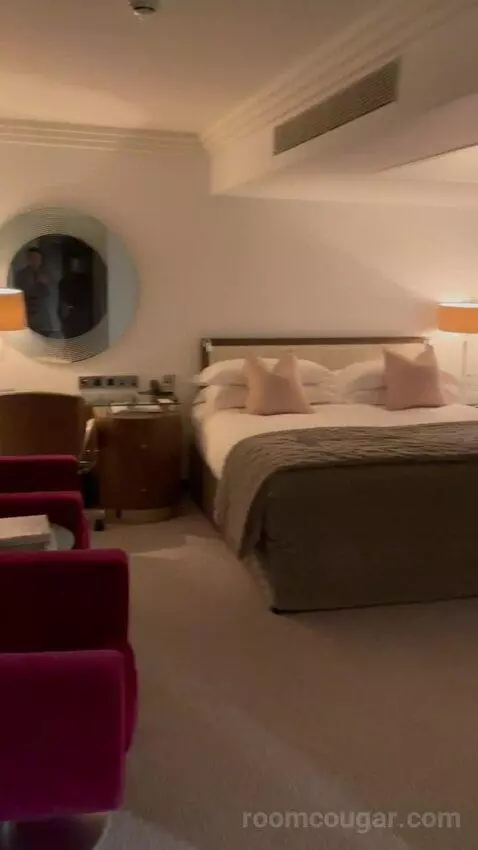 Deluxe King Room (#351) picture #3