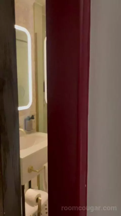 Double Room with Two Double Beds (#473) bathroom picture #1